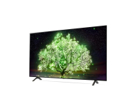 LG OLED48A13LA - 663097 - zdjęcie 7
